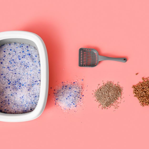 A bowl of rice and some other items on the table